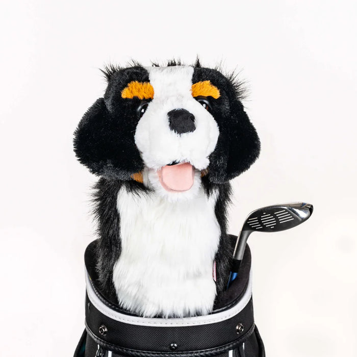 Daphne’s Headcovers – Bernese Mountain Dog